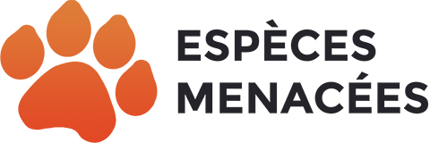 &Agrave; la rescousse des esp&egrave;ces menac&eacute;es