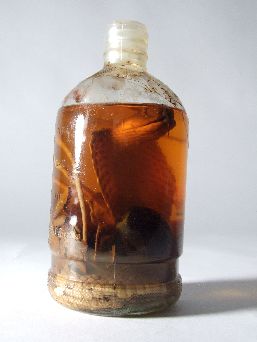 Whole cobra in a glass jar containing alcool.